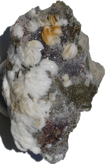 Le cabinet de minéralogie Le cabinet de minéralogie